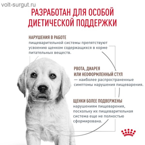 Royal Canin Gastrointestinal Puppy для щенков до 1 года при острых расстройствах пищеварения Royal Canin Gastrointestinal Puppy для щенков до 1 года при острых расстройствах пищеварения