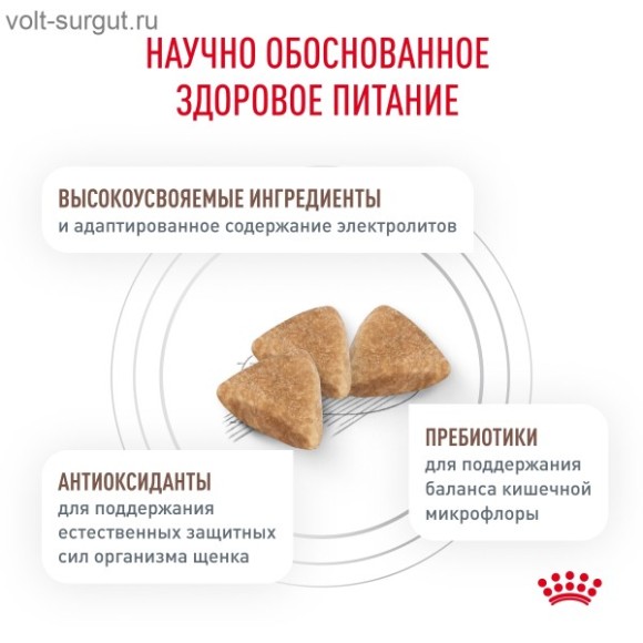 Royal Canin Gastrointestinal Puppy для щенков до 1 года при острых расстройствах пищеварения Royal Canin Gastrointestinal Puppy для щенков до 1 года при острых расстройствах пищеварения