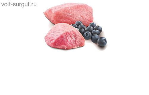 Farmina N&D Prime Lamb & Blueberry для взрослых кошек с ягненком и черникой Farmina N&D Prime Lamb & Blueberry для взрослых кошек с ягненком и черникой