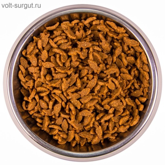 Monge Cat Speciality Line Monoprotein Adult для взрослых кошек, из лосося Monge Cat Speciality Line Monoprotein Adult для взрослых кошек, из лосося