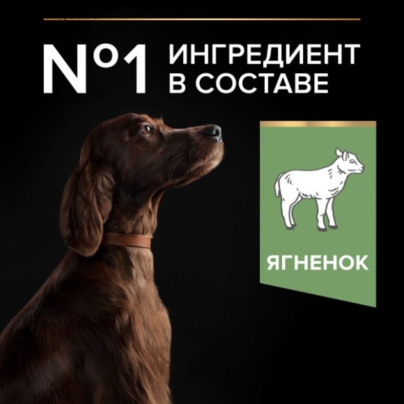Pro Plan Dog для собак крупных пород атлетически сложенных с чувствительным пищеварением с Ягненком