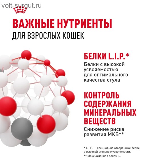 Royal Canin Indoor Sterilized (паштет)