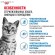 Royal Canin Indoor Sterilized (паштет)